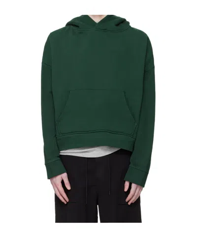 Entire Studios Heavy Hoodie In Green