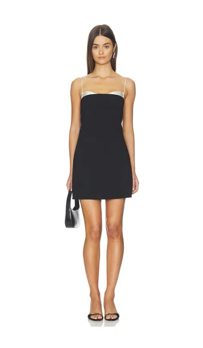 Entire Studios Sleeveless Mini Dress In Black
