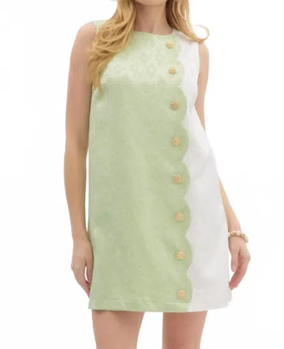 Entro Ainsley Mini Dress In Green In Multi
