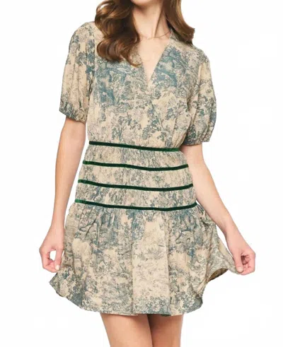Entro Forest Toile Mini Dress In Green In Multi