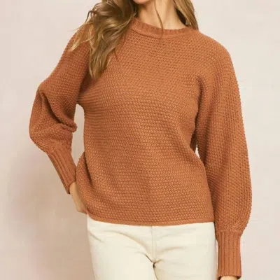 Entro Knit Crewneck Sweater In Brown