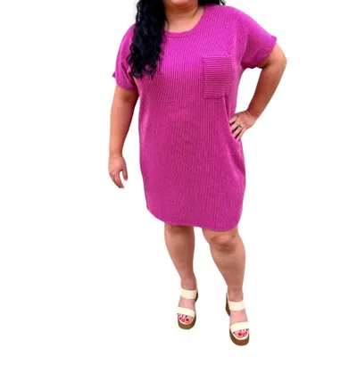 Entro Maggie Tee Shirt Dress Plus In Pink