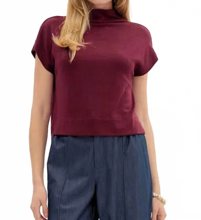 Entro Megan Knit Mock Neck Top In Burgundy
