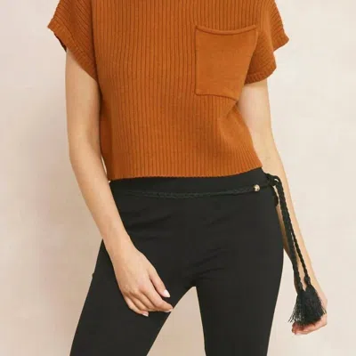 Entro Mock Neck Knit Top In Brown