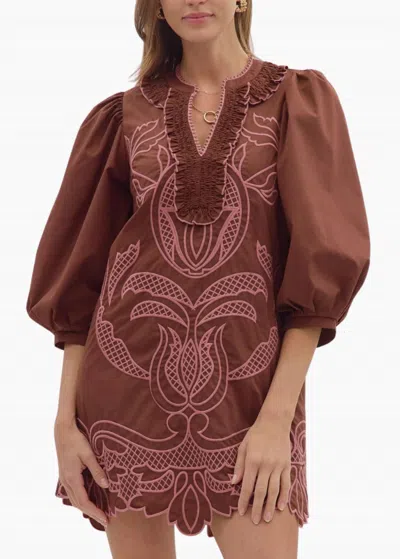 Entro Newberry Mini Dress In Chocolate In Multi