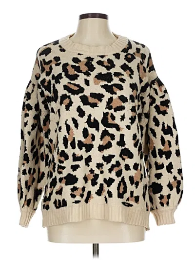 Pre-owned Entro Pullover Sweater In Brown