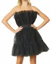 Entro Strapless Tulle Dress In Black In Black