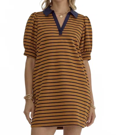 Entro Stripe Collared Mini Dress In Orange In Brown