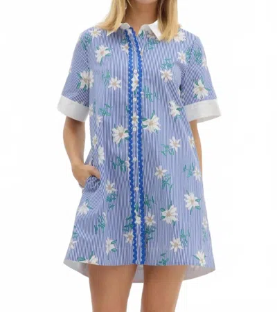Entro Striped Floral Print Shirt Mini Dress In Blue