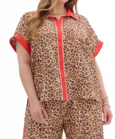Entro Walk On The Wild Side Print Top - Plus In Leopard In Brown