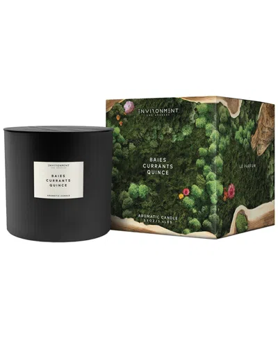 Environment Los Angeles Environment 55oz Candle Inspired By Diptyque Baies® Baies, Currants & Quince In Black