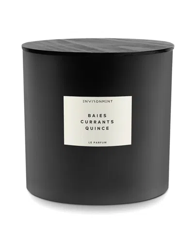 Environment Los Angeles Environment 55oz Candle Inspired By Diptyque Baies® Baies In Black
