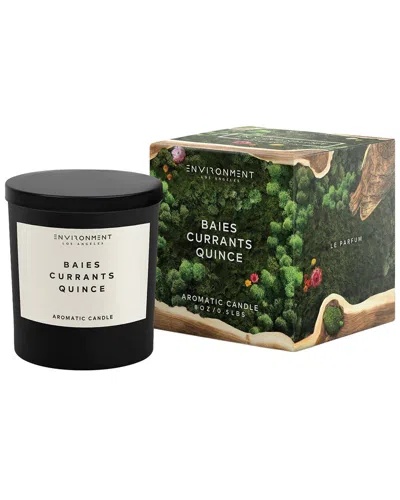 Environment Los Angeles Environment 8oz Candle Inspired By Diptyque Baies® Baies, Currants & Quince In Black