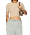 Enza Costa Open Knit Cropped Short Sleeve Sweater In Basalt