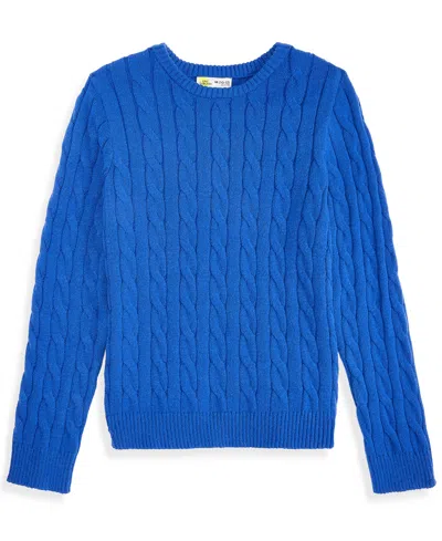 Epic Threads Kids' Boys' 5-20 Ultrasoft Cable-knit Crewneck Long-sleeve Sweater, Macy's Exclusive In Blue