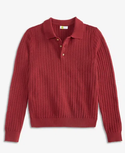 Epic Threads Kids' Toddler Boys' 12m-5t Long-sleeve Polo Sweater, Macy's Exclusive In Gray