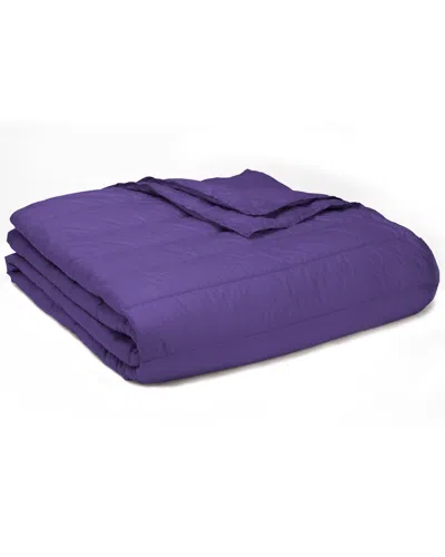 Epoch Home Puff Ultra Light Down Alternative Blanket