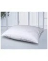 Epoch Hometex 500 Thread Count Cottonloft All Natural 100% Cotton Pillow