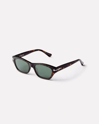 Epokhe Frequency Sunglasses In Brown