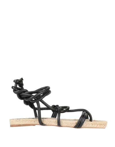 Eqüitare Sandals In Black