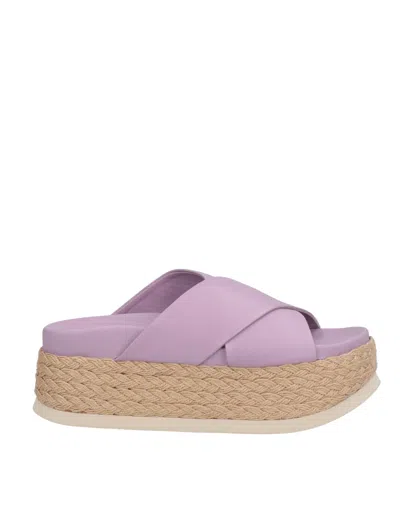 Eqüitare Espadrilles In Purple