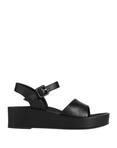Eqüitare Equitare Woman Sandals Black Size 6 Leather
