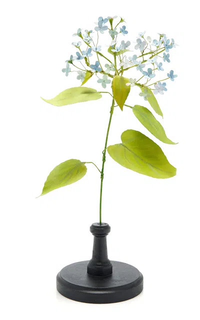 Erbavoglio Milano Handcrafted Metal Lunaria Sculpture