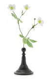 Erbavoglio Milano Handcrafted Metal Mountain White Ranunculus Sculpture In Multi