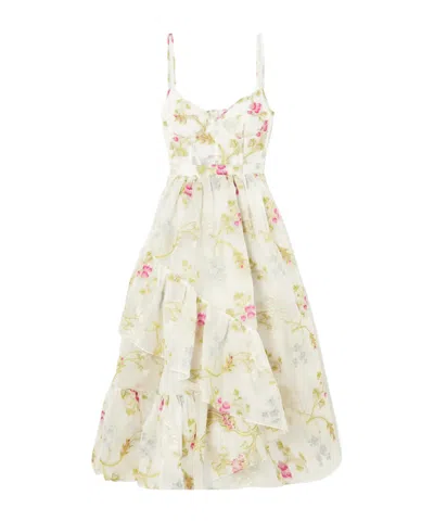 Erdem Alani Asymmetrical Ruffle Dress In Multi