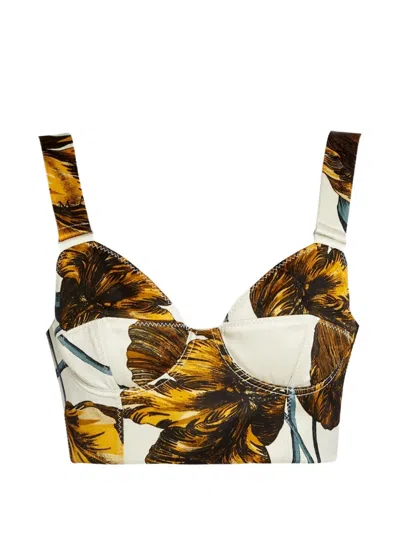 Erdem Etched Tulip Cropped Corset Bra Top In Brown