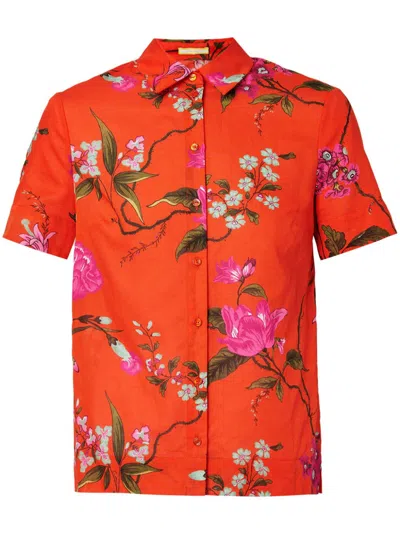 Erdem Floral-print Cropped Shirt In Red