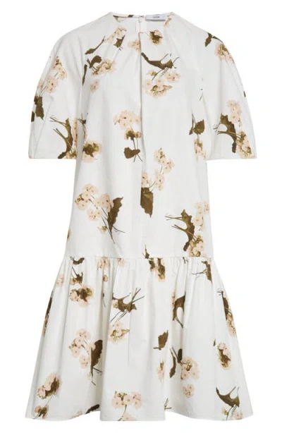 Erdem Floral Print Drop Waist Cotton Poplin Dress In Elena Garden White