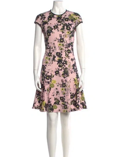Pre-owned Erdem Floral Print Mini Dress In Pink