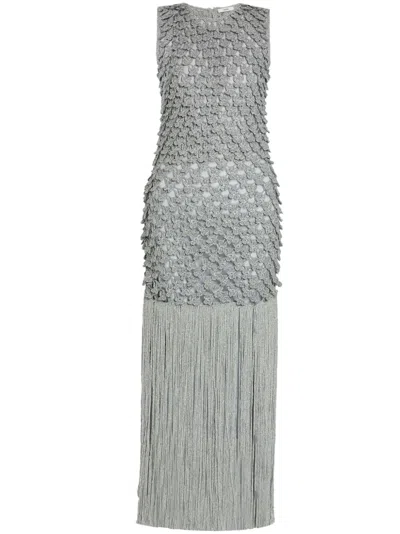 Erdem Fringed Knit Dress In Silver