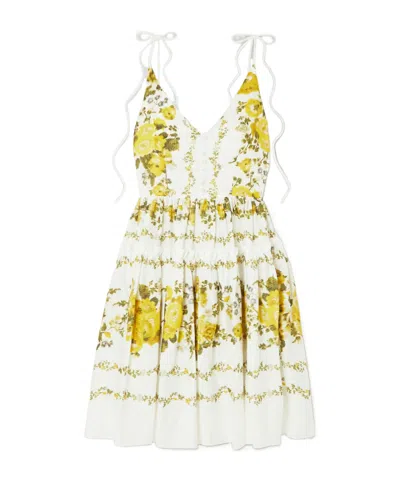 Erdem Oleander Pleated Print Mini Dress In Multi