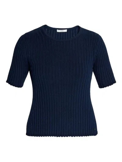 Erdem Ribbed Short-sleeve Top In Blue