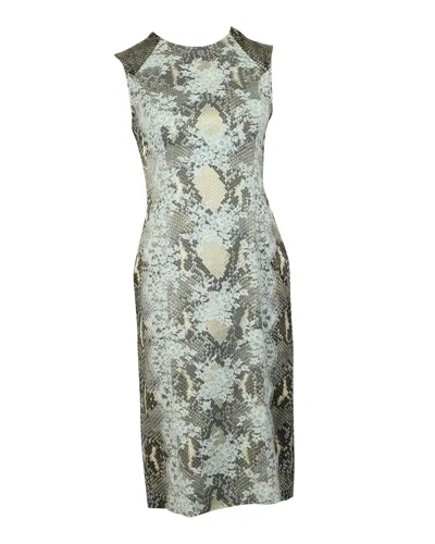 Pre-owned Erdem Snakeskin Print Dress With Lace Detail In Grey Viscose In Silver