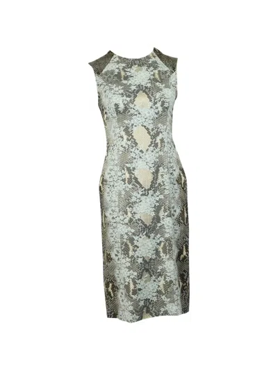 Pre-owned Erdem Snakeskin-print Midi Dress In Gray