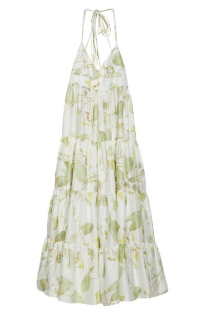 Erdem Strappy Cotton Poplin Fit & Flare Dress