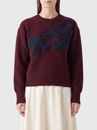 Erdem Sweater Woman Color Burgundy In Multi