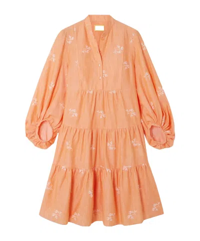 Erdem Winona Layered Embroidered Mini Shirt Dress In Orange