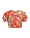Erdem Hydra Cropped Floral-print Cotton-poplin Top In Orange