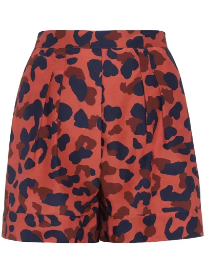 Eres Animal-print Shorts In 褐色