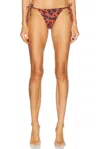 Eres Cauri Bikini Bottoms In Imp Coquillag Ete Indien