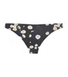 Eres Classic Seduction Low-rise Bikini Bottoms In Multi