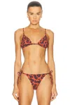 Eres Cyprae Bikini Top In Imp Coquillag Ete Indien