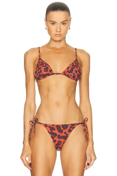 Eres Cyprae Bikini Top In Imp Coquillag Ete Indien