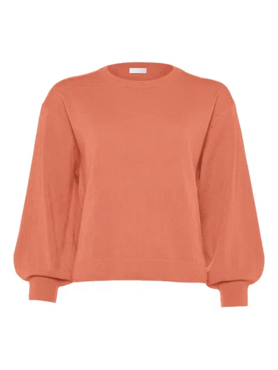 Eres Famous Pull Weater In Brown