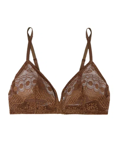 Eres Lace Bra In Brown