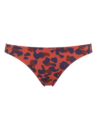 Eres Nautile Bikini Bottoms In 褐色